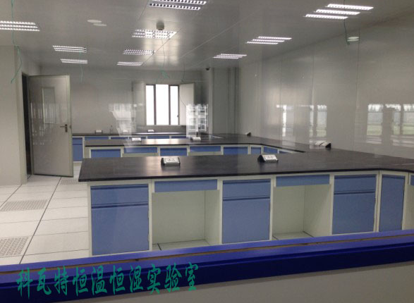 恒溫恒濕實(shí)驗(yàn)室設(shè)計(jì)