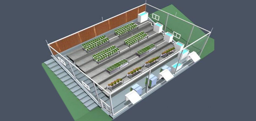 植物組培實(shí)驗(yàn)室